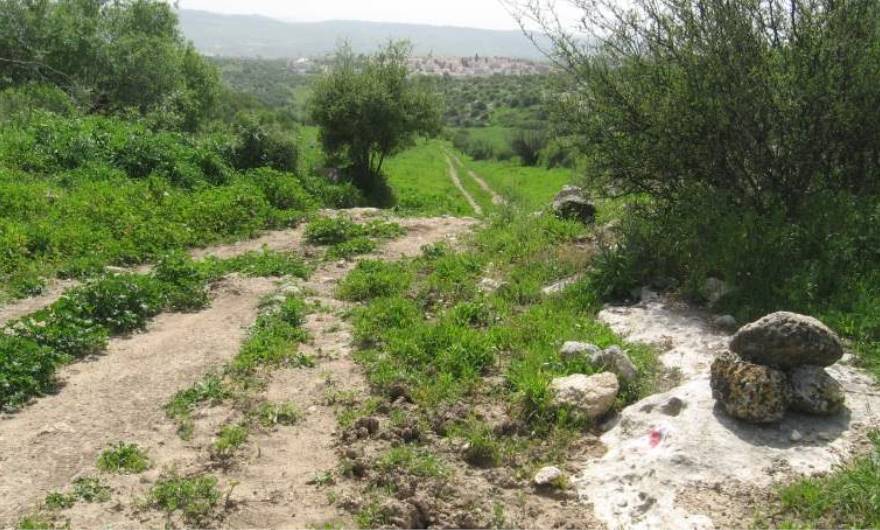 אלבום תמונות: האוכף בין גבעת שר לגבעת בית שנה. ברקע נראים בתי נוף איילון אלבום תמונות: האוכף בין גבעת שר לגבעת בית שנה. ברקע נראים בתי נוף איילון