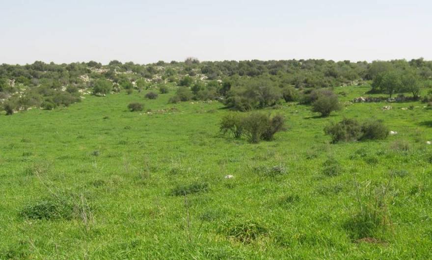 אלבום תמונות: עמק גדוש עשבייה עשירה בין שתי אלבום תמונות: עמק גדוש עשבייה עשירה בין שתי