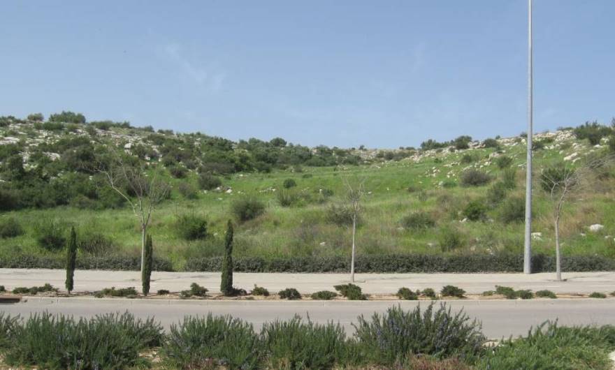 אלבום תמונות: חלק מגבעת שר, ממערב לשד' החשמונאים, מול צומת דרך מנחם בגין אלבום תמונות: חלק מגבעת שר, ממערב לשד' החשמונאים, מול צומת דרך מנחם בגין