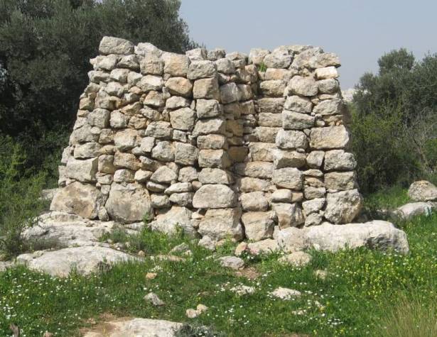 שומרה מטיפוס עופרה (על-פי הגדרות צבי רון) שומרה מטיפוס עופרה (על-פי הגדרות צבי רון)