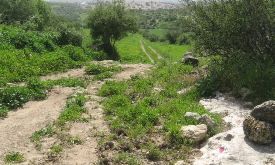 אלבום תמונות: האוכף המערבי – מבט דרומה. מימין נראה סימון השבילים האדום המגיע מפסגת הגבעה אלבום תמונות: האוכף המערבי – מבט דרומה. מימין נראה סימון השבילים האדום המגיע מפסגת הגבעה