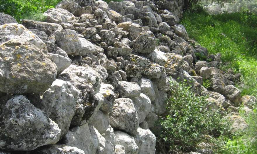 אלבום תמונות: הגדר המערבית של המתחם המגודר בחורבת שר אלבום תמונות: הגדר המערבית של המתחם המגודר בחורבת שר