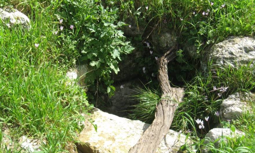 אלבום תמונות: בור מים במדרון ממזרח לחורבת שר אלבום תמונות: בור מים במדרון ממזרח לחורבת שר