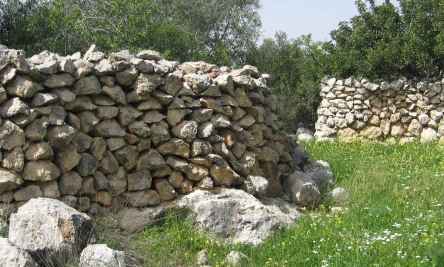 אלבום תמונות: ערימות סיקול בנויות היטב במתחם שבראש גבעת שר אלבום תמונות: ערימות סיקול בנויות היטב במתחם שבראש גבעת שר