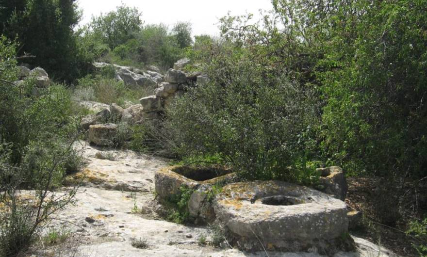 אלבום תמונות: בור מים ושקתות – צמוד לגדר הדרומית של המתחם בראש גבעת שר אלבום תמונות: בור מים ושקתות – צמוד לגדר הדרומית של המתחם בראש גבעת שר