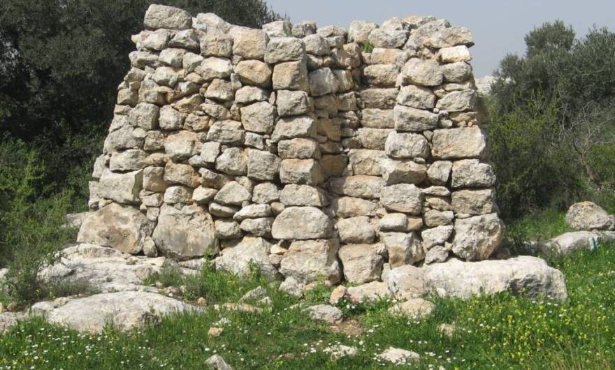 אלבום תמונות: שומרה אלבום תמונות: שומרה