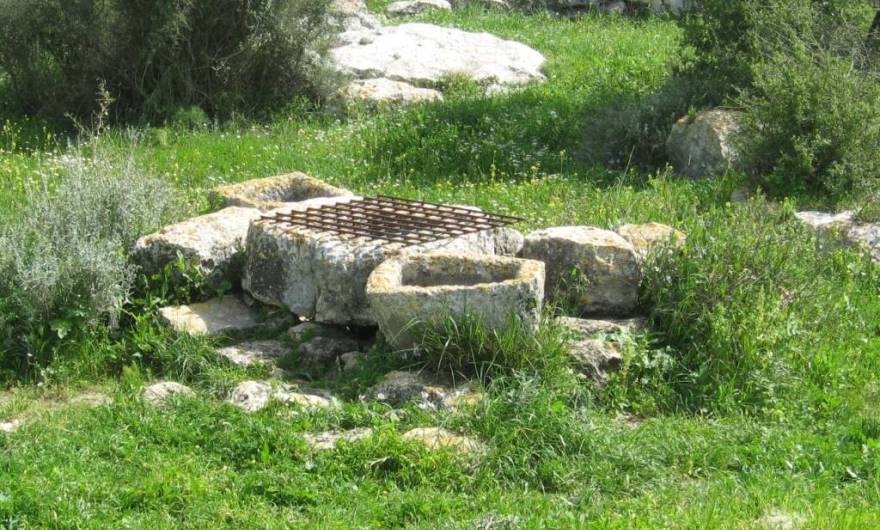 אלבום תמונות: בור מים ושקתות סמוך לגדר הצפונית של המתחם אלבום תמונות: בור מים ושקתות סמוך לגדר הצפונית של המתחם