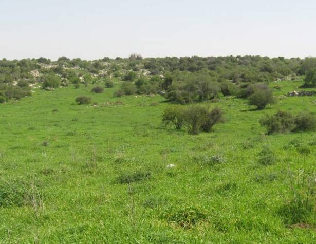 העמק המערבי – מבט לכיוון מזרח העמק המערבי – מבט לכיוון מזרח