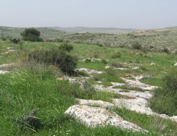 המדרון הצפוני- מראה כללי. מבט לכיוון צפון-מערב המדרון הצפוני- מראה כללי. מבט לכיוון צפון-מערב