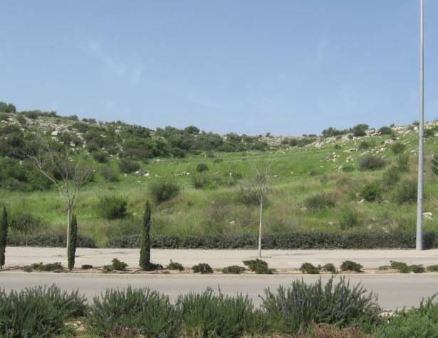 הוואדי במדרון המזרחי – מבט משדרות החשמונאים למערב הוואדי במדרון המזרחי – מבט משדרות החשמונאים למערב