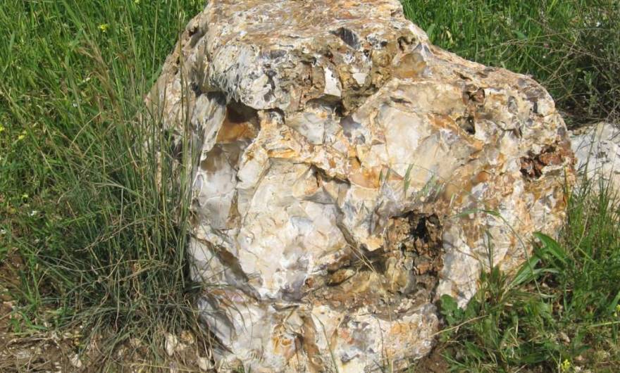 אלבום תמונות: סלע צור אלבום תמונות: סלע צור