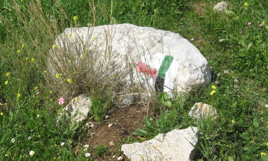 אלבום תמונות: צומת סימון שבילים מדרום לגדר המתחם שבמרום גבעת שר אלבום תמונות: צומת סימון שבילים מדרום לגדר המתחם שבמרום גבעת שר