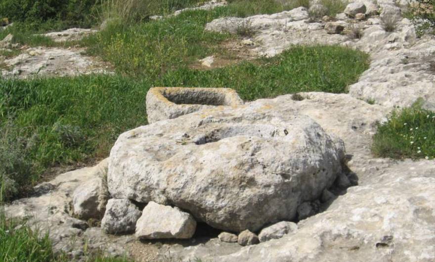 אלבום תמונות: בור מים ושוקת אבן אלבום תמונות: בור מים ושוקת אבן