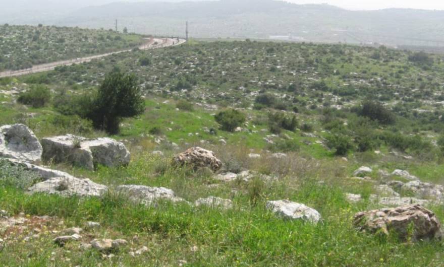 אלבום תמונות: עמק איילון ורכס פארק קנדה – מראה מהמדרון הדרומי, מבט לדרום-מזרח אלבום תמונות: עמק איילון ורכס פארק קנדה – מראה מהמדרון הדרומי, מבט לדרום-מזרח