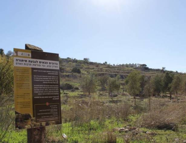 שלט הסבר בגבעת התיתורה