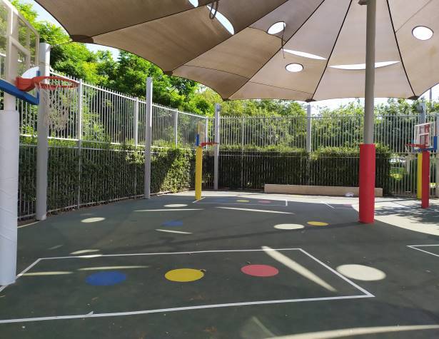 יער סלים יער סלים