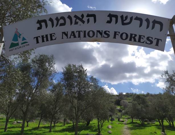 חורשת האומות