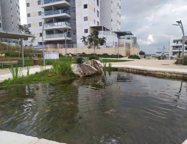 פארק יער ירושלים