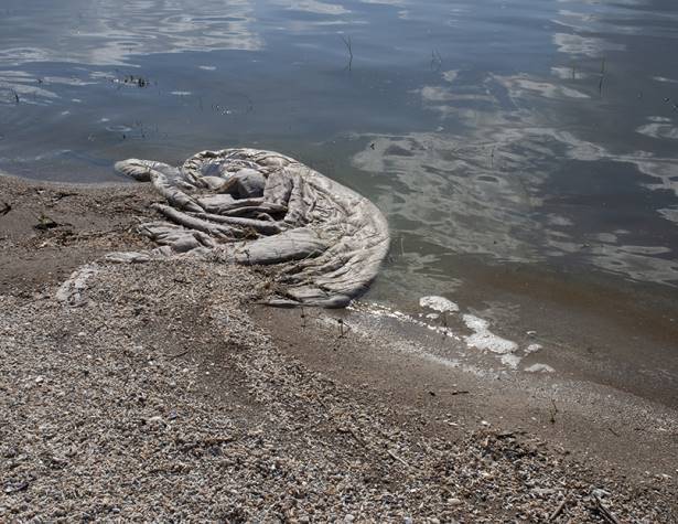 מירב שטרק, ללא כותרת, צילום מירב שטרק, ללא כותרת, צילום