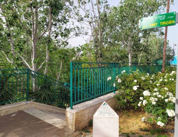 מעלה עמית תירוש