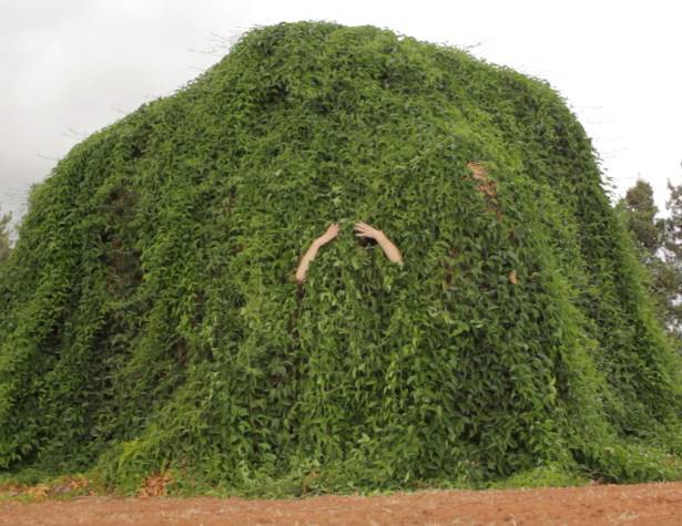 שרון גלזברג, נאחזת שרון גלזברג, נאחזת