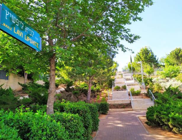 מעלה לביא ליפשיץ 1