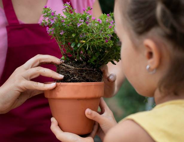 מצמיחים לדורות מצמיחים לדורות