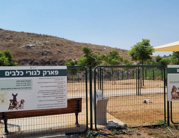 גינת הכלבים בשדרות מנחם בגין