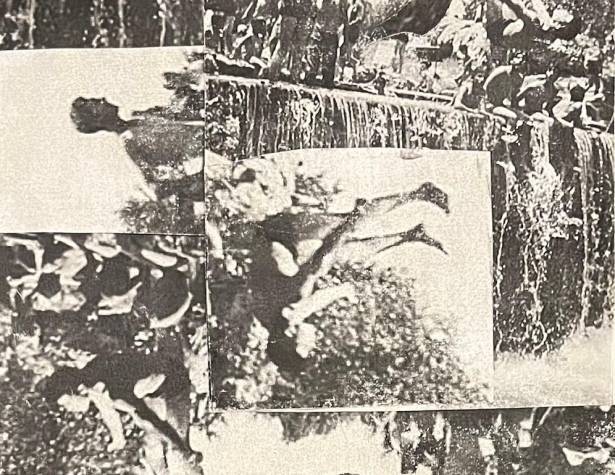 דימוי: חגי לוריא דימוי: חגי לוריא