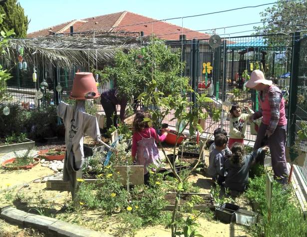 גינת ירק בגן שקמה גינת ירק בגן שקמה