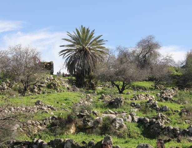 הגבעות הדרומיות הגבעות הדרומיות