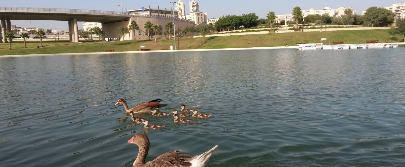 פארק ענבה פארק ענבה