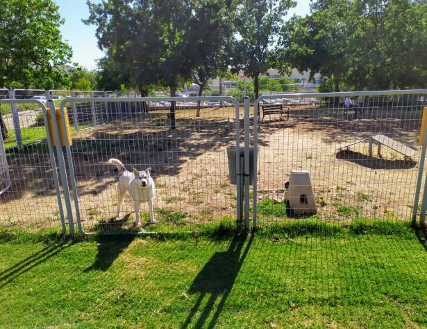 גינת כלבים בעמק האלה