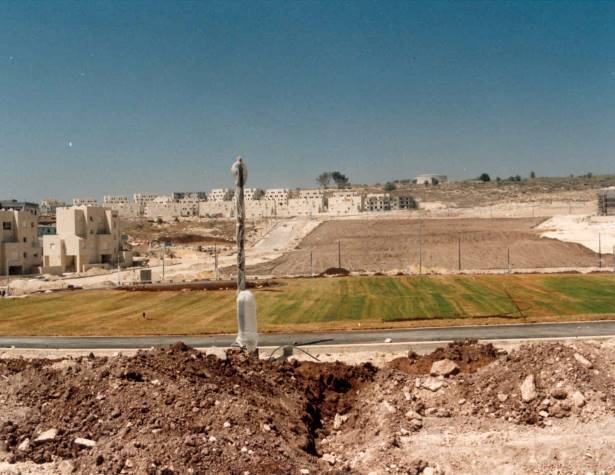 בונים את פארק הדגים 1996