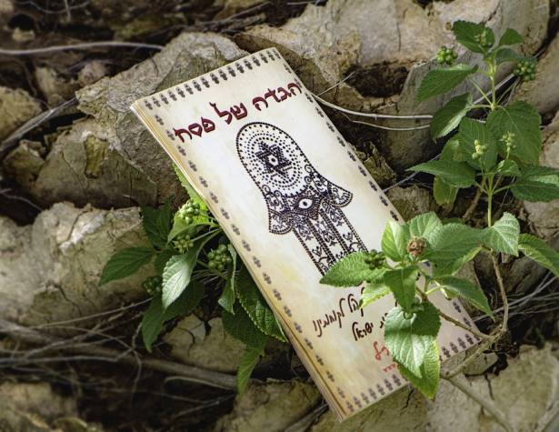 תמונה להמחשה