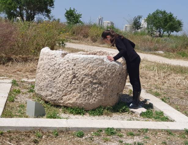 תיתורה תמונה מאושר תיתורה תמונה מאושר