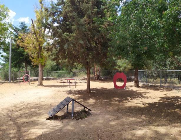 גינת כלבים מכבים 