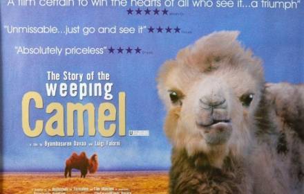 איילת אידלברג - מונגוליה ''דמעות של גמל'' איילת אידלברג - מונגוליה ''דמעות של גמל''