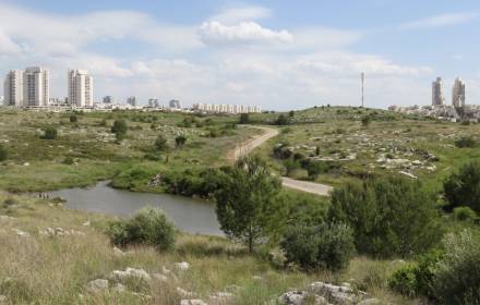 סיור לבריכת החורף 