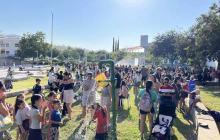 ראשון קיצי בסחלבים ראשון קיצי בסחלבים
