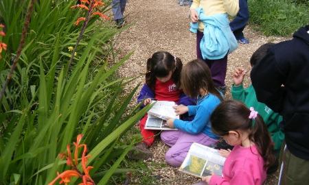 פעילות של ילדי ''דורות'' בגן האקולוגי