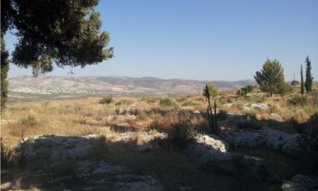 תמונות: גבעת הברושים – המדרון הדרום-מזרחי. ברקע צפון עמק איילון ומערב הרי-ירושלים