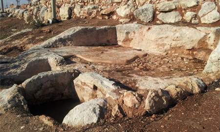 סיור מצולם באתר הארכיאולוגי: אחת הגתות הרבות שנחשפו באום אל-עומדן וסביב לה