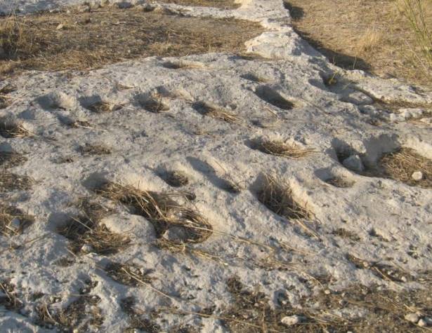 ספלולי סלע חצובים במדרון המזרחי של גבעת התיתורה