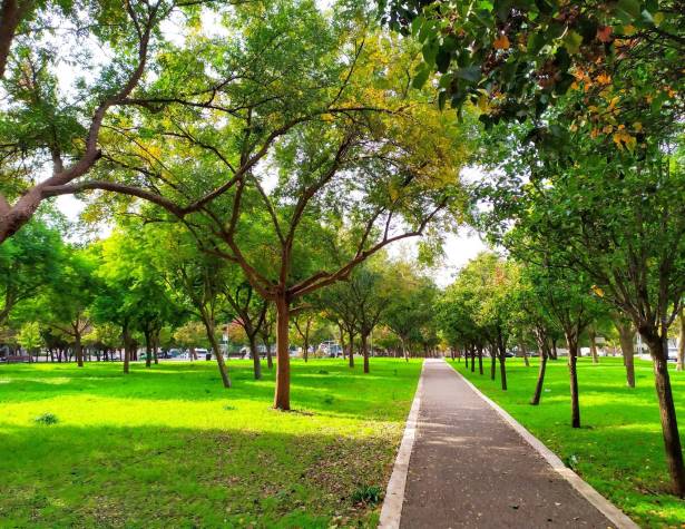 פארק בעמק החולה