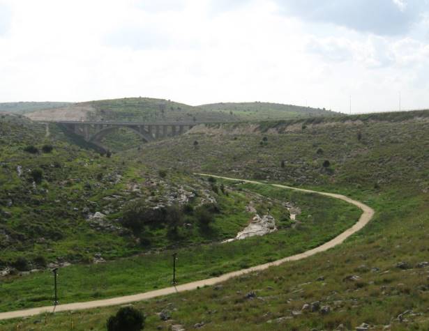 מבט מטיילת חוט-השני אל קטע מערוץ נחל ענבה
