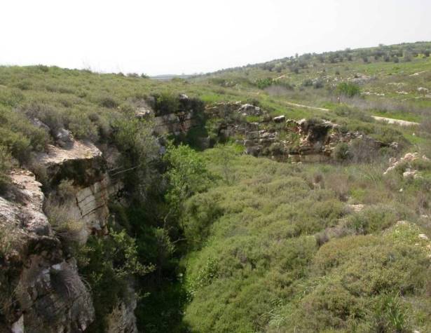 מחצבה גדושה בסירה קוצנית