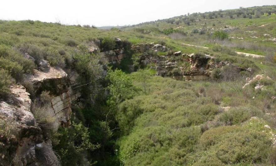 תמונות: מחצבה גדושה בסירה קוצנית