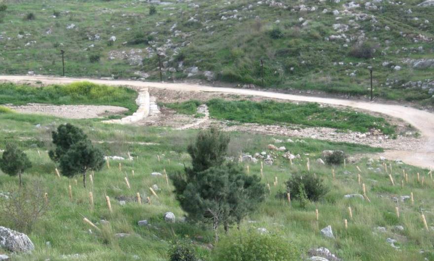 תמונות: נקודת-המפגש של השביל היורד מטיילת חוט-השני עם הדרך העוברת באפיק נחל ענבה