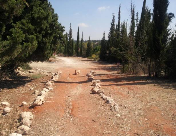 הדרך הצפונית לגבעת הברושים. מבט כלפי מטה